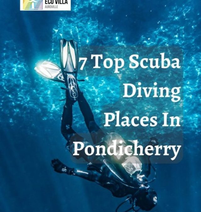 7 Top Scuba Diving Places In Pondicherry