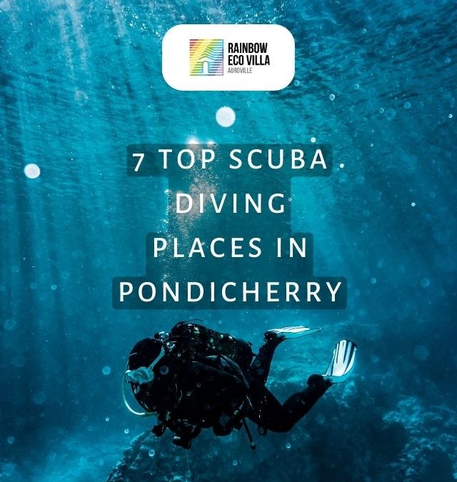 7 Top Scuba Diving Places In Pondicherry