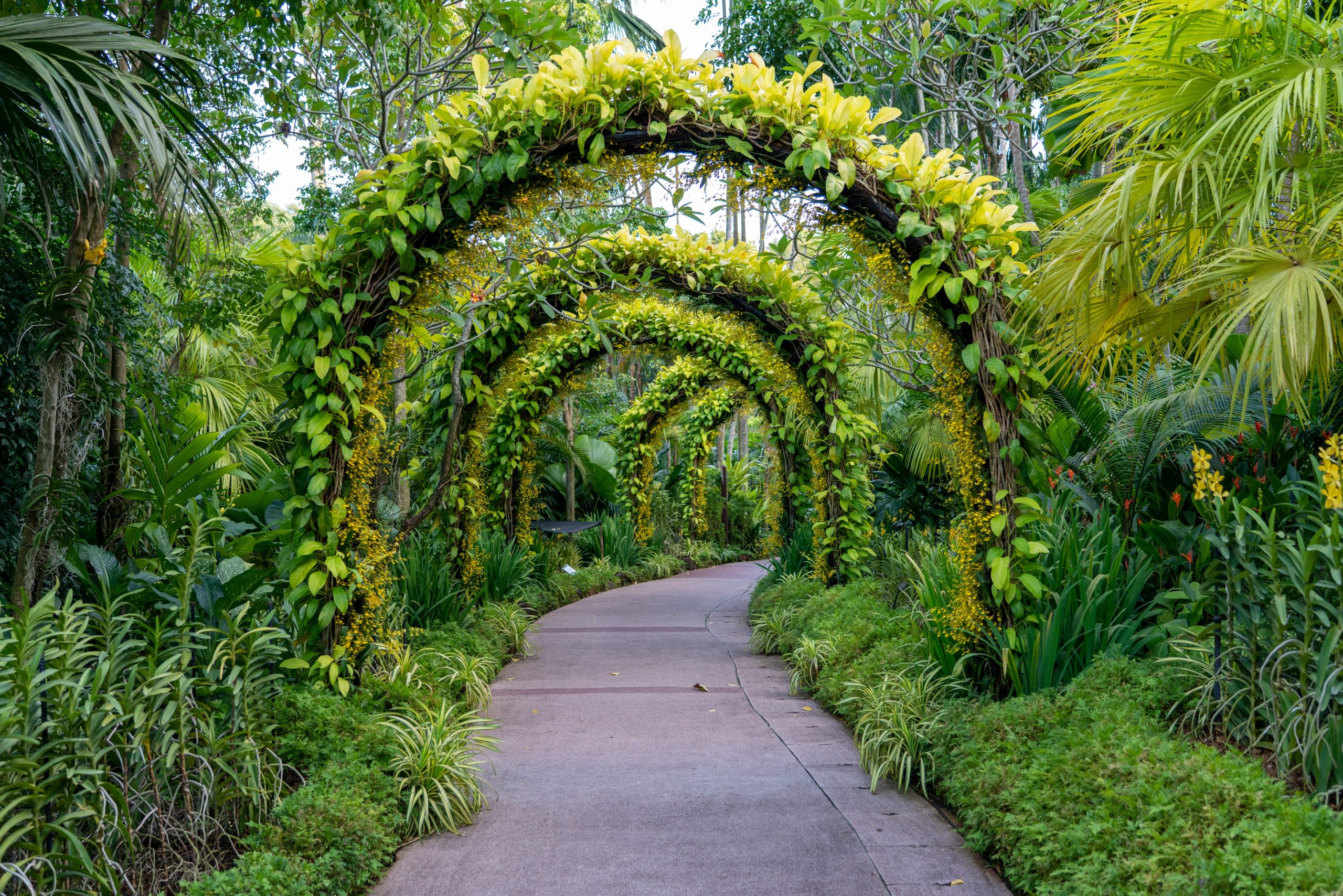 botanical garden - Top Tourist Places Near Auroville Pondicherry