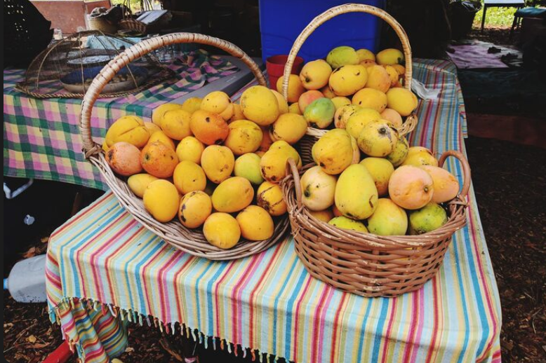 festivals-in-pondicherry-august-2025