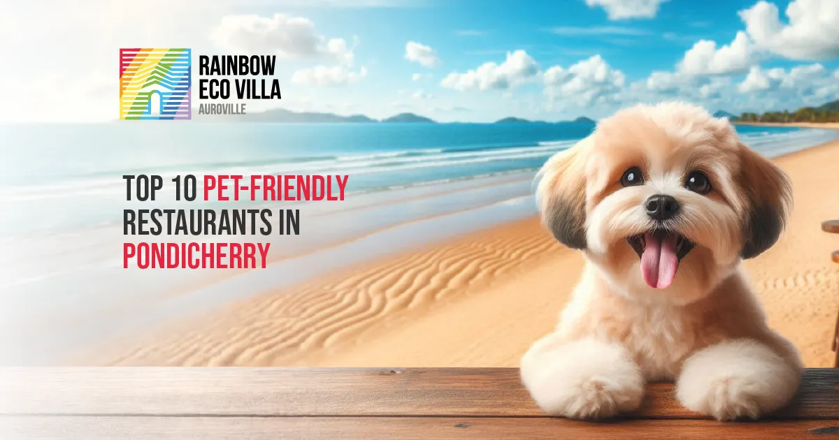 Top 10 Pet-Friendly Restaurants In Pondicherry